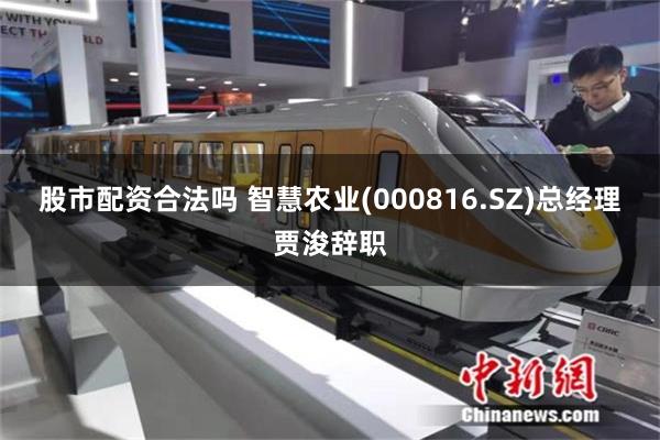 股市配资合法吗 智慧农业(000816.SZ)总经理贾浚辞职