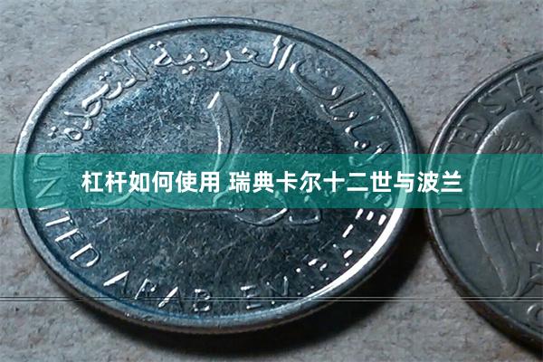 杠杆如何使用 瑞典卡尔十二世与波兰