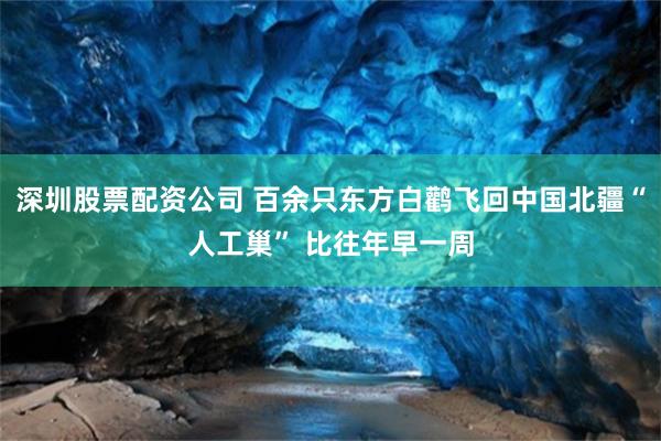 深圳股票配资公司 百余只东方白鹳飞回中国北疆“人工巢” 比往年早一周