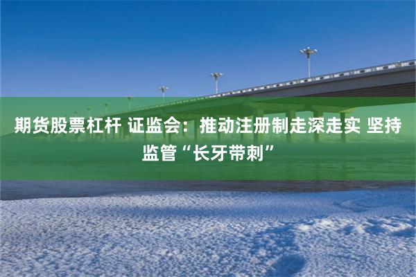期货股票杠杆 证监会：推动注册制走深走实 坚持监管“长牙带刺”