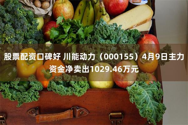 股票配资口碑好 川能动力（000155）4月9日主力资金净卖出1029.46万元