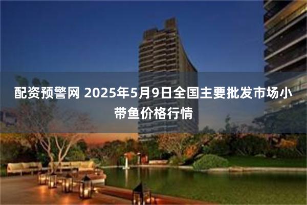 配资预警网 2025年5月9日全国主要批发市场小带鱼价格行情