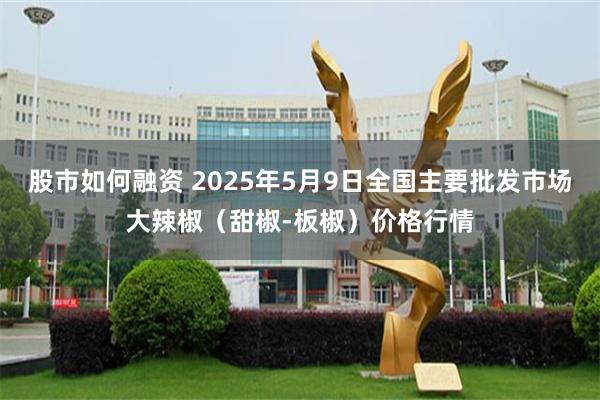 股市如何融资 2025年5月9日全国主要批发市场大辣椒(甜椒-板椒)价格行情