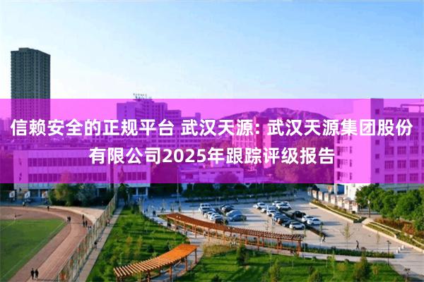 信赖安全的正规平台 武汉天源: 武汉天源集团股份有限公司2025年跟踪评级报告