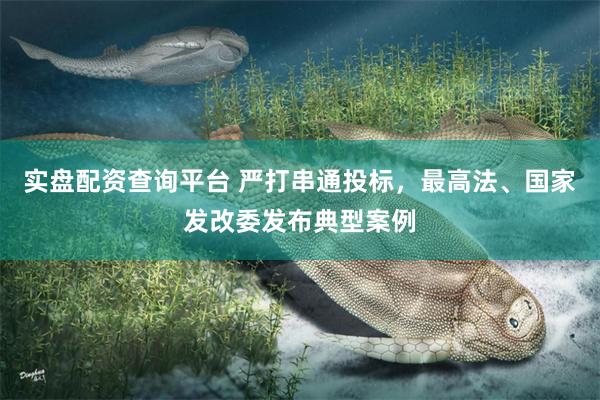 实盘配资查询平台 严打串通投标，最高法、国家发改委发布典型案例