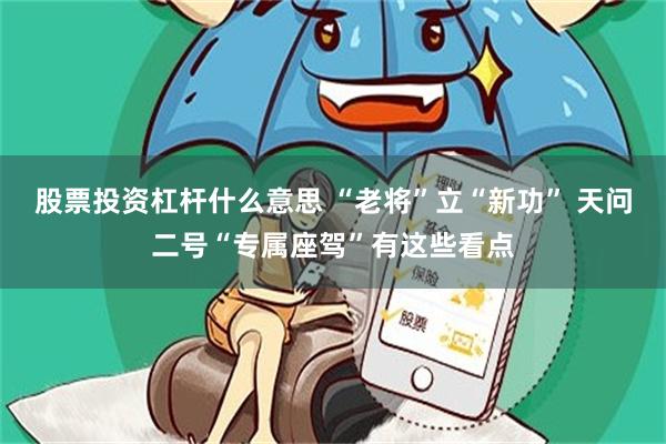 股票投资杠杆什么意思 “老将”立“新功” 天问二号“专属座驾”有这些看点