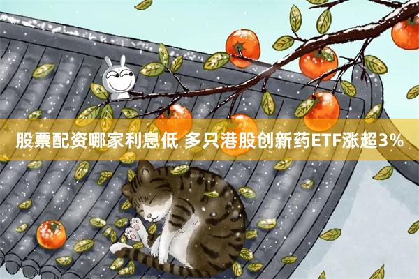 股票配资哪家利息低 多只港股创新药ETF涨超3%