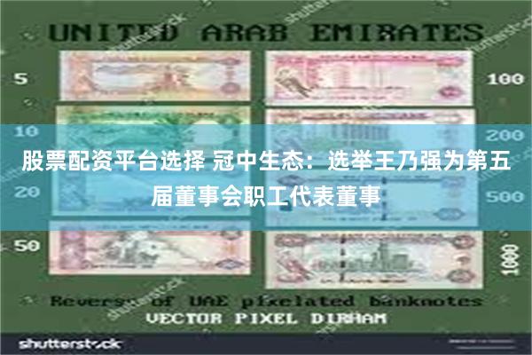 股票配资平台选择 冠中生态：选举王乃强为第五届董事会职工代表董事