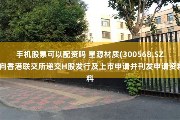 手机股票可以配资吗 星源材质(300568.SZ)向香港联交所递交H股发行及上市申请并刊发申请资料