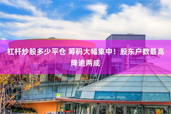 杠杆炒股多少平仓 筹码大幅集中！股东户数最高降逾两成