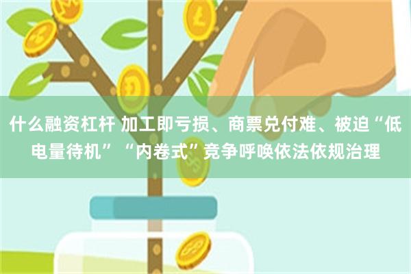 什么融资杠杆 加工即亏损、商票兑付难、被迫“低电量待机” “内卷式”竞争呼唤依法依规治理