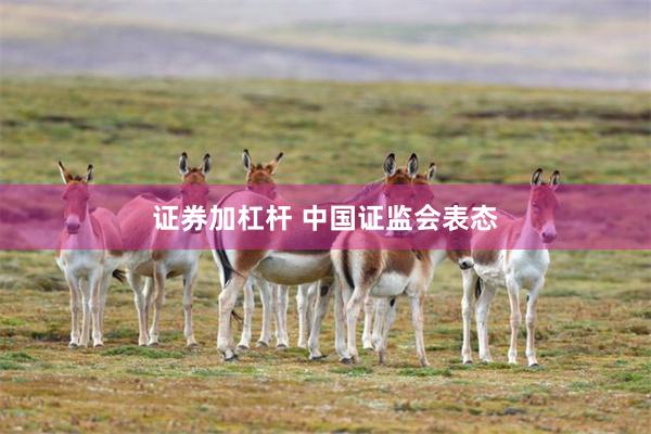 证券加杠杆 中国证监会表态