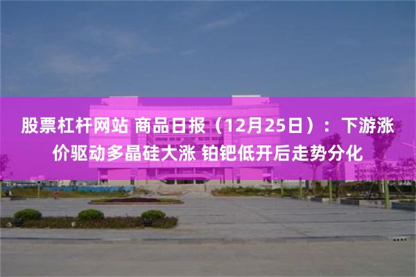 股票杠杆网站 商品日报（12月25日）：下游涨价驱动多晶硅大涨 铂钯低开后走势分化